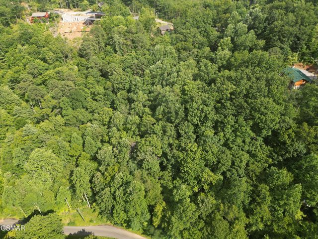4321 Manis Hollow Road, Gatlinburg, TN 37738