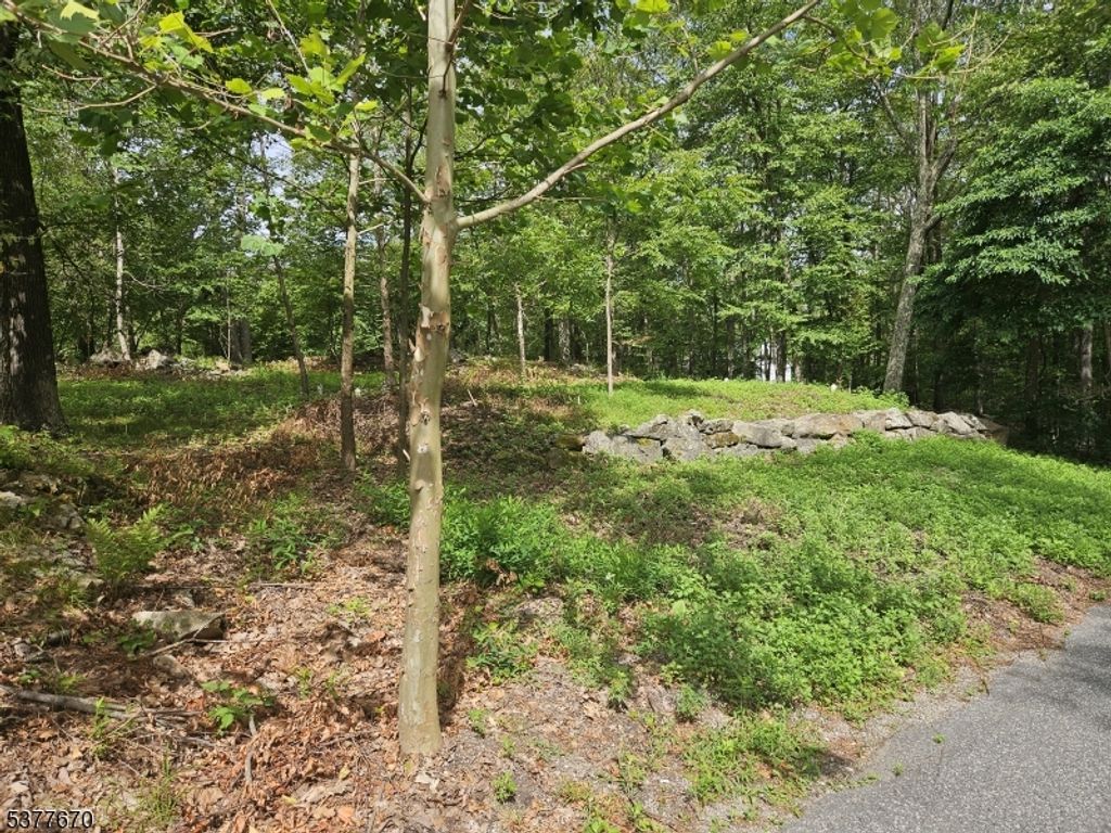 15 Lakeside Dr, Vernon Twp., NJ 07461 — photo 5
