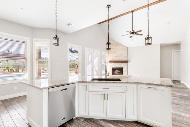 9006 Water Buck Lane, Conroe, TX 77303