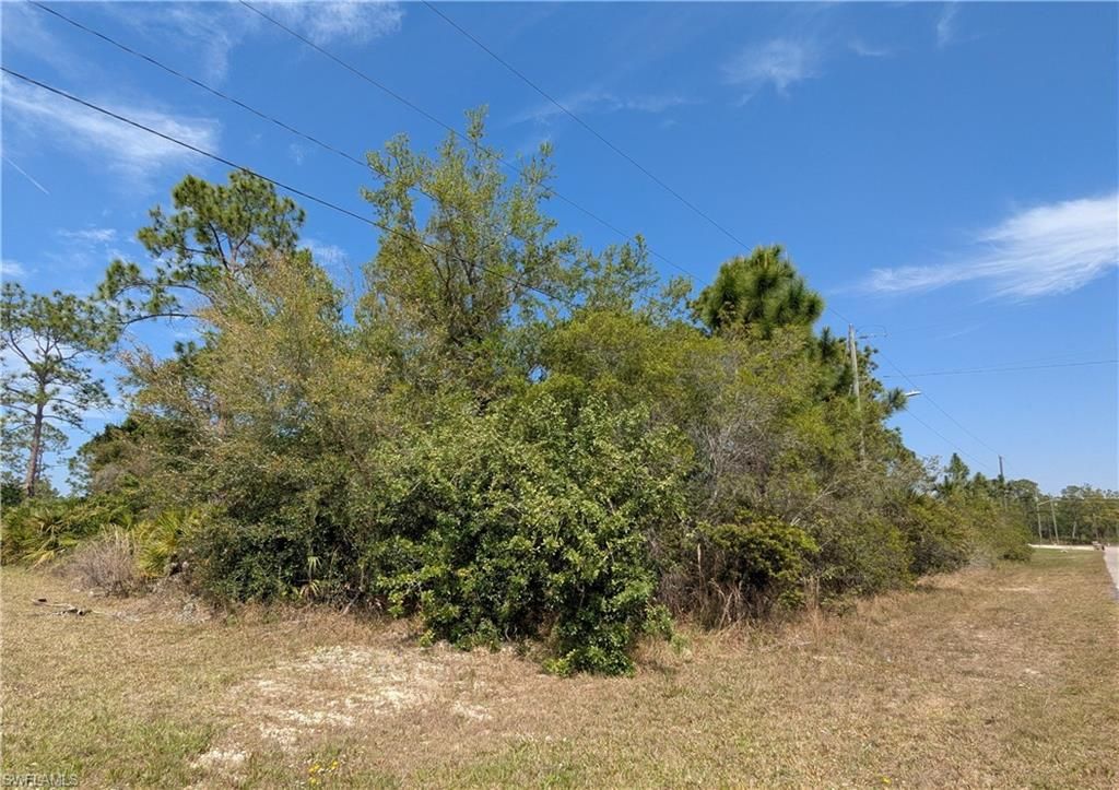 1855 Lindenwood DR, LEHIGH ACRES, FL 33972 — photo 3