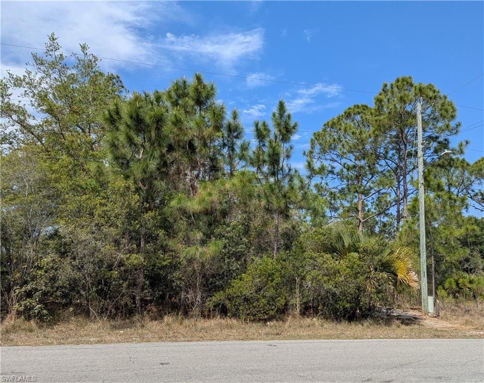 1855 Lindenwood DR, LEHIGH ACRES, FL 33972 — photo 4