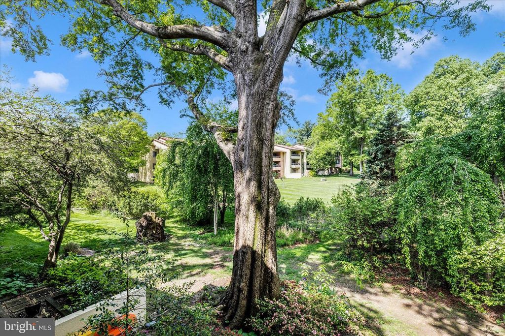 Image 42 of property listing at 5713 HARPERS FARM RD #C, Columbia, MD 21044