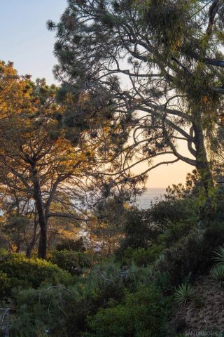 404 Pine Needles, Del Mar, CA 92014