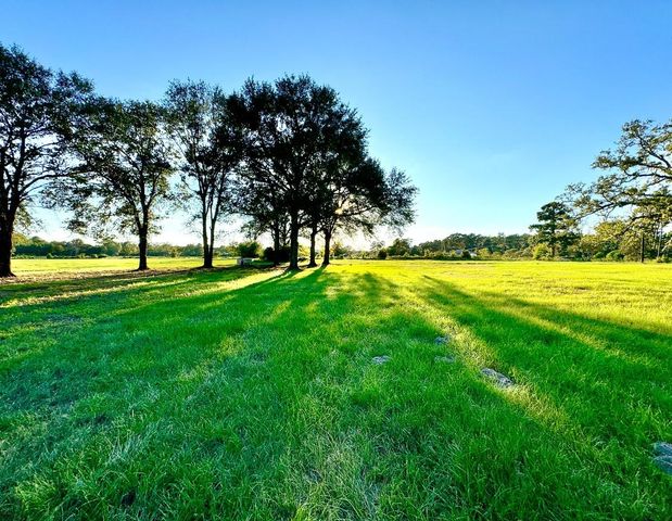 27687 T-2 Hoke Road, Richards, TX 77873