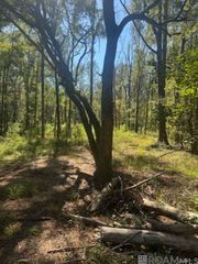 Otto Odom Cir, Denham Springs, LA 70706