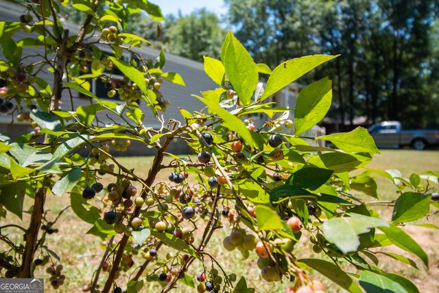 28 Monique Drive, Hartwell, GA 30643