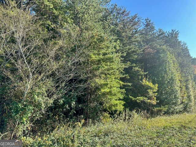 0 Highway 411 NE, Rydal, GA 30171