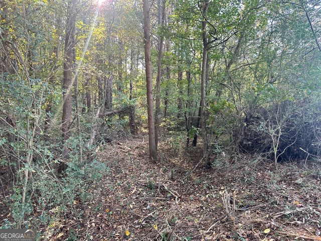 0 Highway 411 NE, Rydal, GA 30171