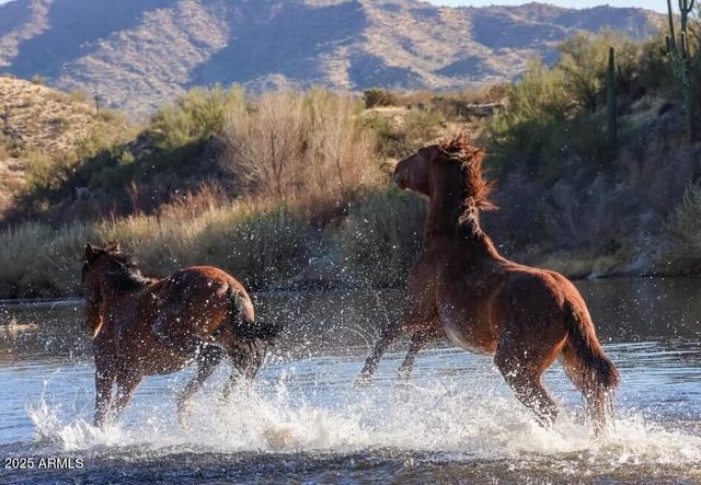 6973 E HACIENDA LA NORIA Lane, Gold Canyon, AZ 85118