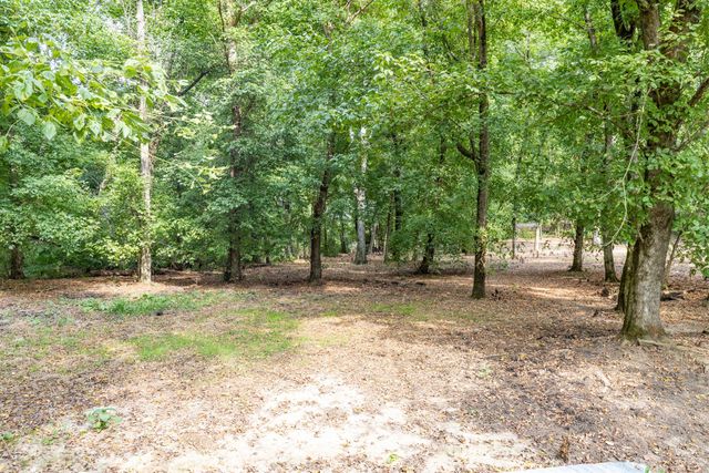 1502 New Deal Potts Rd, Portland, TN 37148