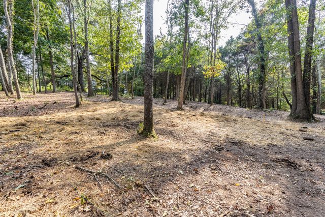 1502 New Deal Potts Rd, Portland, TN 37148