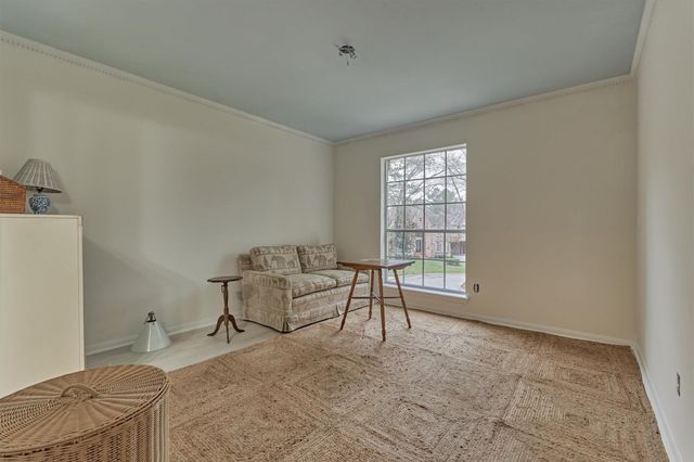 6 Meadow Cove Drive, The Woodlands, TX 77381