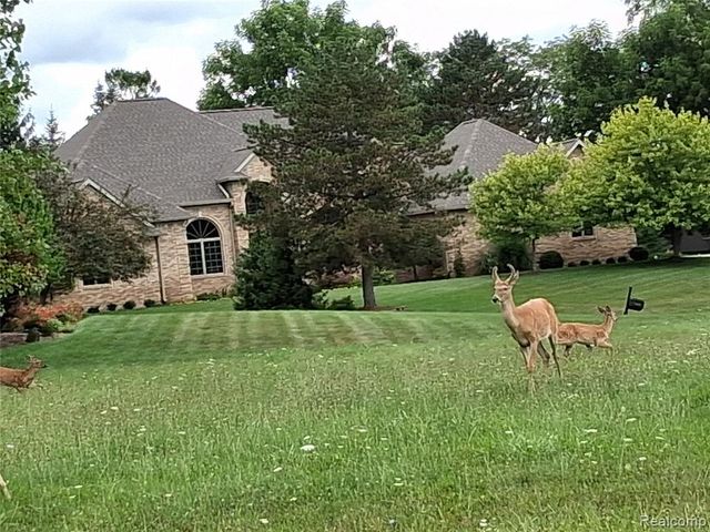 lot 21 Burlwood Circle, Grand Blanc, MI 48439