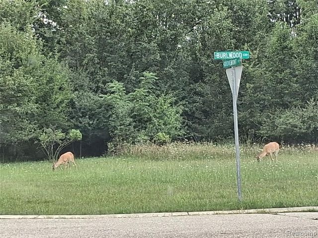 lot 21 Burlwood Circle, Grand Blanc, MI 48439