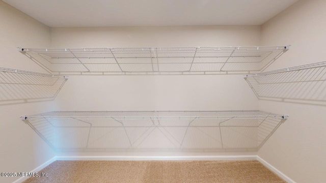 3058 BELLA COLLINA Way, Green Cove Springs, FL 32043