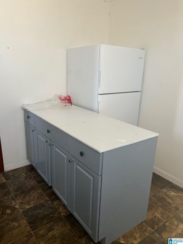 232 FLORA STREET SW, Birmingham, AL 35211