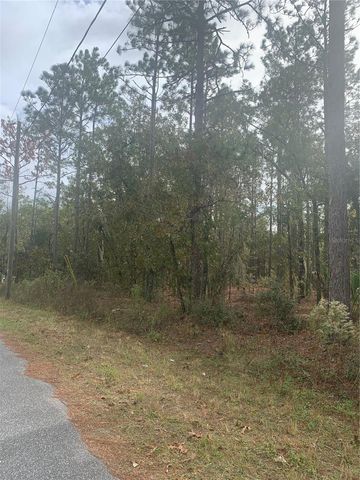 0 PECAN DRIVE LOOP, Ocala, FL 34472
