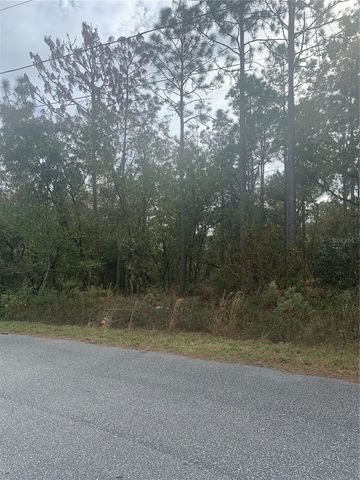 0 PECAN DRIVE LOOP, Ocala, FL 34472