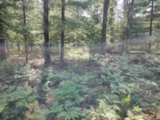 Lot 186 Winterset Drive, Alger, MI 48610