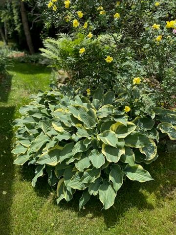 108 Charles Street, Saranac Lake, NY 12983