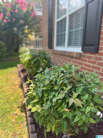 259 WARWICK LANE, Alabaster, AL 35007