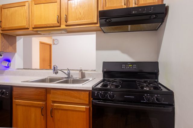 2335 E 70th Place 205, Chicago, IL 60649