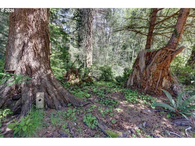9320 Nehalem Rd, Manzanita, OR 97130
