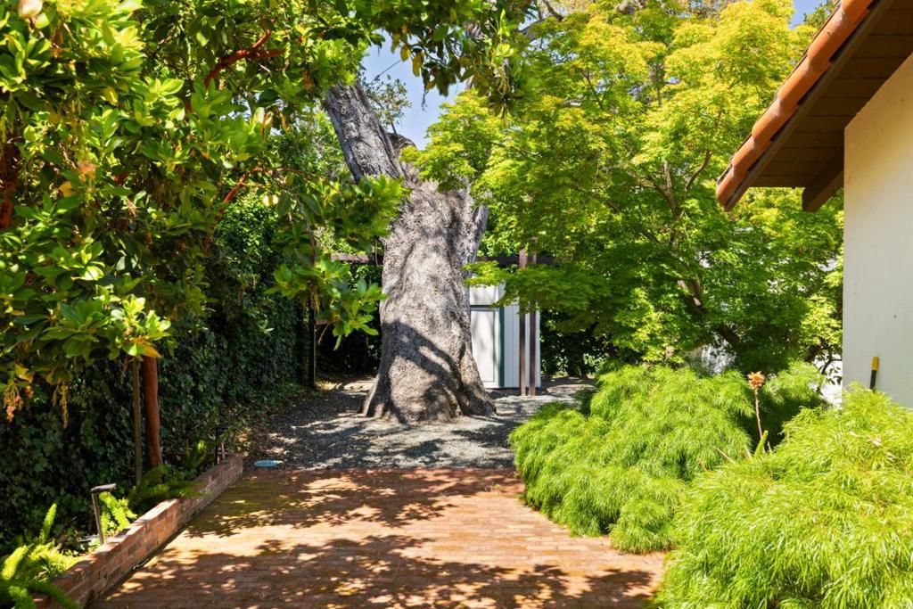 Image 24 of property listing at 225 Coleridge Avenue, Palo Alto, CA 94301