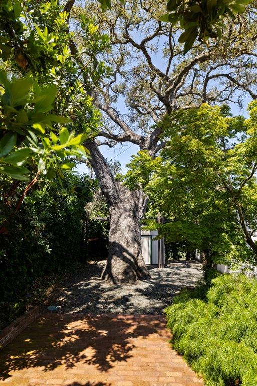 Image 25 of property listing at 225 Coleridge Avenue, Palo Alto, CA 94301