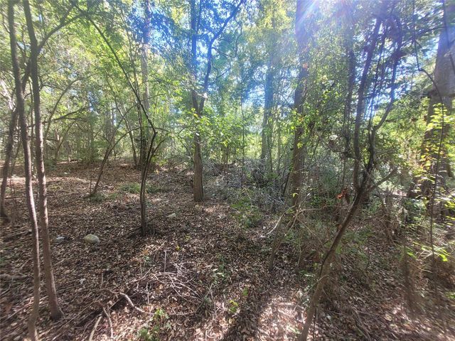 0 Lakeside Drive, Cleveland, TX 77327