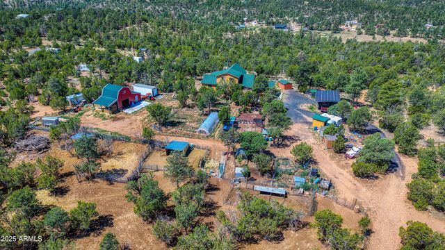 3336 BEAR HEIGHTS Road, Heber, AZ 85928