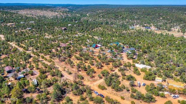 3336 BEAR HEIGHTS Road, Heber, AZ 85928