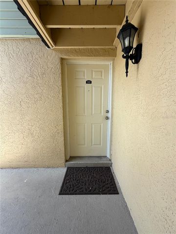 502 GOLDEN RAINTREE PLACE, Brandon, FL 33510