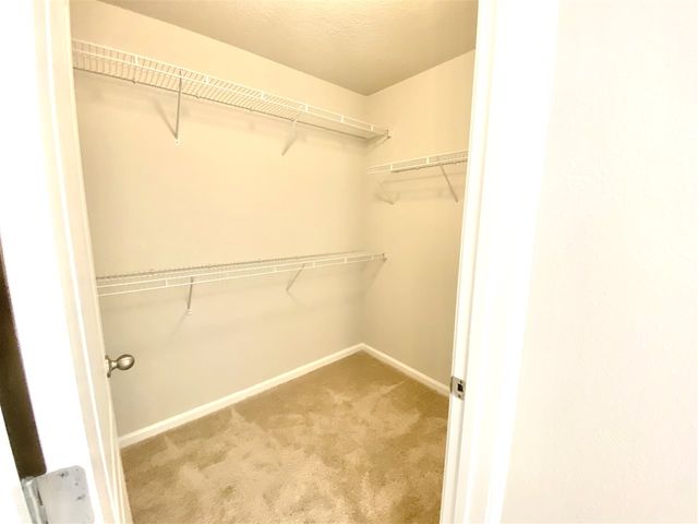 26 Coastal Hammock Way, St Augustine, FL 32086