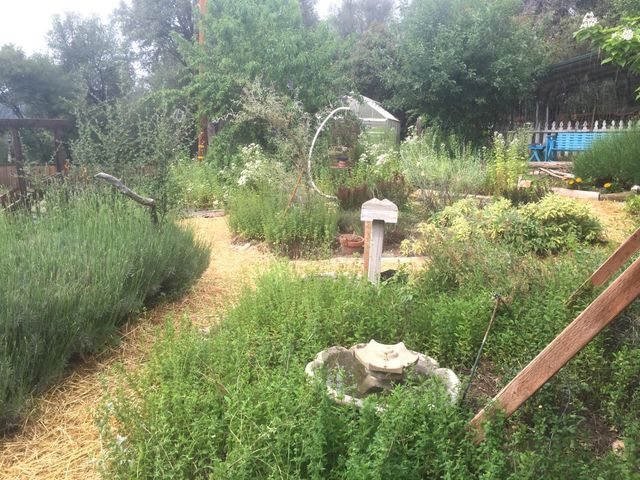 51571 Coyote Ridge Road, Oakhurst, CA 93644