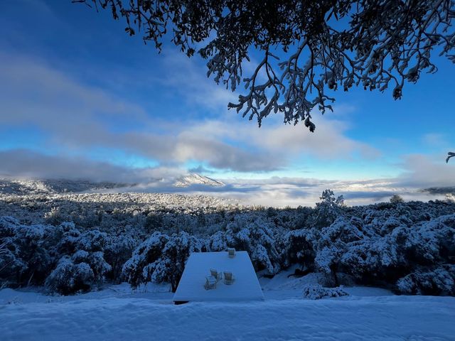 51571 Coyote Ridge Road, Oakhurst, CA 93644