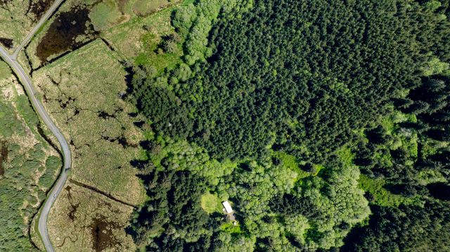 94010 N Way Lane, North Bend, OR 97459