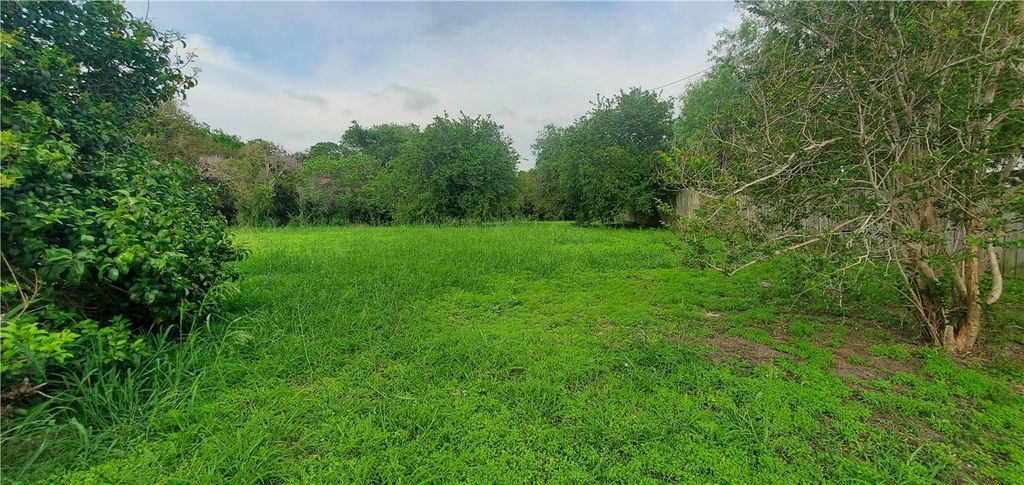 2617 Mc Cain (B) Dr, Corpus Christi, TX 78410 — photo 3