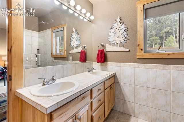 133 Elk Grove Lane, Woodland Park, CO 80863