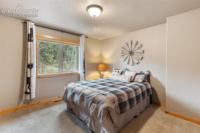 133 Elk Grove Lane, Woodland Park, CO 80863