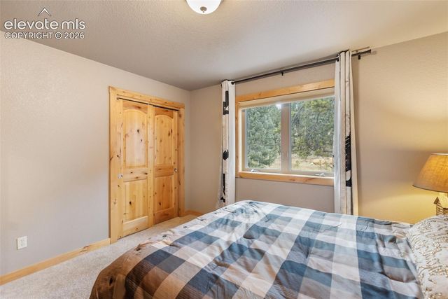133 Elk Grove Lane, Woodland Park, CO 80863