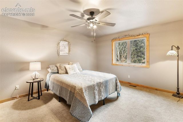 133 Elk Grove Lane, Woodland Park, CO 80863