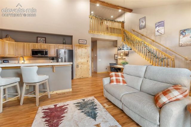 133 Elk Grove Lane, Woodland Park, CO 80863