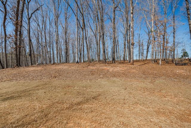 31 Boxwood Court, Midland, GA 31820