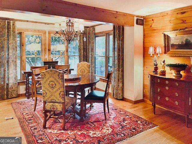 205 Minnehaha Trail, Blue Ridge, GA 30513
