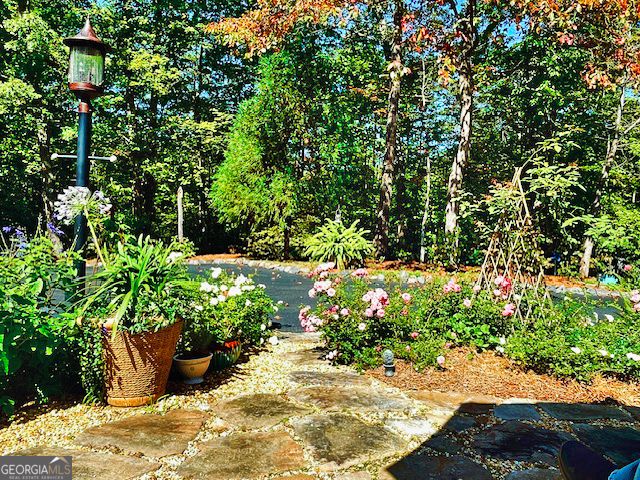 205 Minnehaha Trail, Blue Ridge, GA 30513