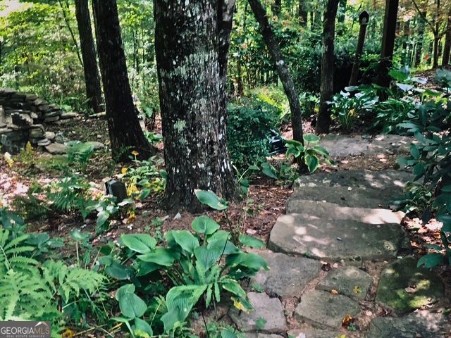 205 Minnehaha Trail, Blue Ridge, GA 30513