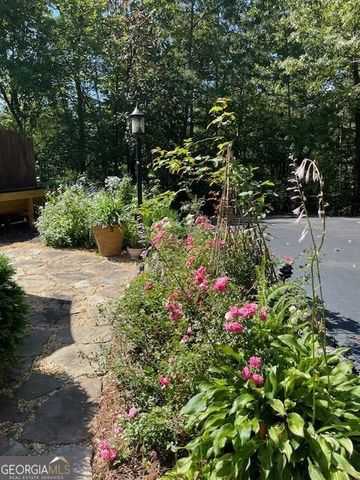 205 Minnehaha Trail, Blue Ridge, GA 30513