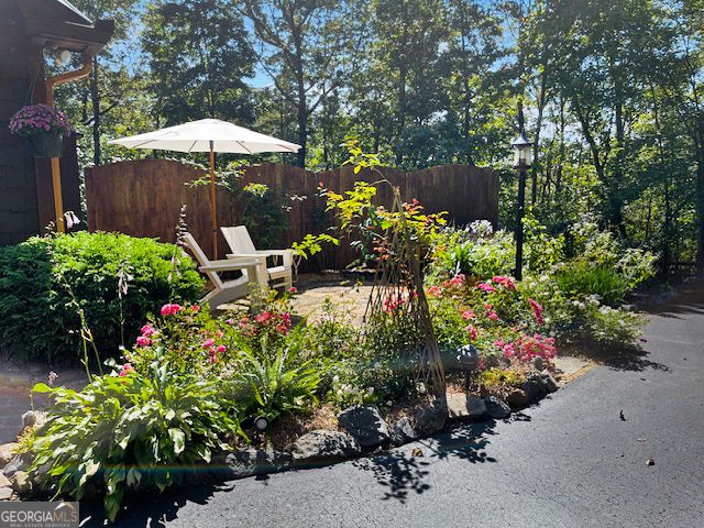 205 Minnehaha Trail, Blue Ridge, GA 30513