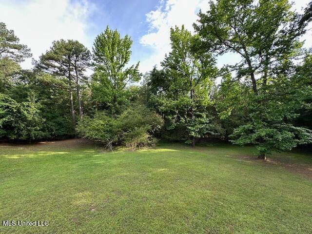 4645 Rebekah Park Drive, Olive Branch, MS 38654